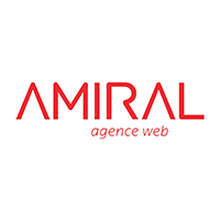 This statement portrays the capabilities and experience of Amiral Web Agency as a leader