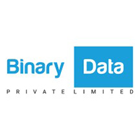 Binary Data Pvt Ltd web and digital marketing company