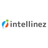 Intellinez Systems