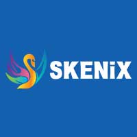 Skenix Infotech