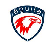 Aguila Consulting