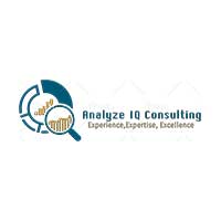 Analyze IQ Consulting LLP