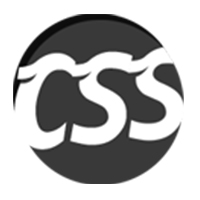 CSS PLAYER IT SOLUTIONS PVT LTD