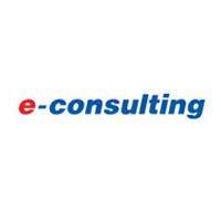 E-Consulting