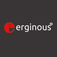 Erginous Technologies