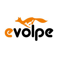 eVolpe Consulting Group