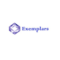 Exemplars IT Services