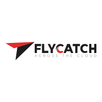 Flycatch