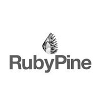 RubyPine