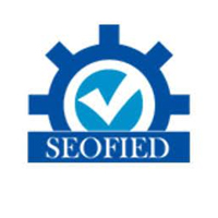 SEOFIED IT SERVICES PVT LTD