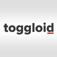 Toggloid Technologies