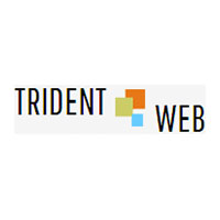 Trident Web Infoservices Pvt. Ltd.